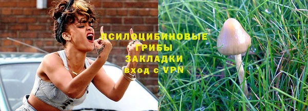 прущие крисы Дмитриев