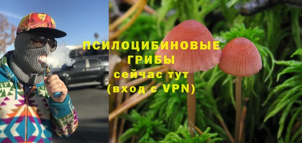 прущие крисы Дмитриев