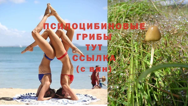 герыч Дмитров