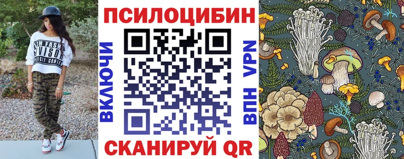 Галлюциногенные грибы Psilocybe  Безенчук 
